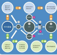 LIS系统